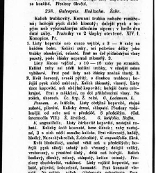 Rostlinnictv&iacute;, čili N&aacute;vod k snadn&eacute;mu určen&iacute; a pojmenov&aacute;n&iacute; rostlin v Čech&aacute;ch, Moravě a jin&yacute;ch zem&iacute;ch Rakousk&eacute;ho mocn&aacute;řstv&iacute; dom&aacute;c&iacute;ch / sepsal Daniel Sloboda / Sloboda, Daniel (1852) document 648796