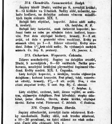 Rostlinnictv&iacute;, čili N&aacute;vod k snadn&eacute;mu určen&iacute; a pojmenov&aacute;n&iacute; rostlin v Čech&aacute;ch, Moravě a jin&yacute;ch zem&iacute;ch Rakousk&eacute;ho mocn&aacute;řstv&iacute; dom&aacute;c&iacute;ch / sepsal Daniel Sloboda / Sloboda, Daniel (1852) document 648909