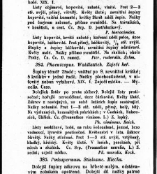 Rostlinnictv&iacute;, čili N&aacute;vod k snadn&eacute;mu určen&iacute; a pojmenov&aacute;n&iacute; rostlin v Čech&aacute;ch, Moravě a jin&yacute;ch zem&iacute;ch Rakousk&eacute;ho mocn&aacute;řstv&iacute; dom&aacute;c&iacute;ch / sepsal Daniel Sloboda / Sloboda, Daniel (1852) document 648924