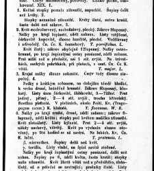 Rostlinnictv&iacute;, čili N&aacute;vod k snadn&eacute;mu určen&iacute; a pojmenov&aacute;n&iacute; rostlin v Čech&aacute;ch, Moravě a jin&yacute;ch zem&iacute;ch Rakousk&eacute;ho mocn&aacute;řstv&iacute; dom&aacute;c&iacute;ch / sepsal Daniel Sloboda / Sloboda, Daniel (1852) document 648929