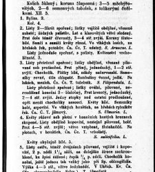 Rostlinnictv&iacute;, čili N&aacute;vod k snadn&eacute;mu určen&iacute; a pojmenov&aacute;n&iacute; rostlin v Čech&aacute;ch, Moravě a jin&yacute;ch zem&iacute;ch Rakousk&eacute;ho mocn&aacute;řstv&iacute; dom&aacute;c&iacute;ch / sepsal Daniel Sloboda / Sloboda, Daniel (1852) document 648965