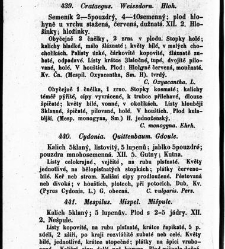 Rostlinnictv&iacute;, čili N&aacute;vod k snadn&eacute;mu určen&iacute; a pojmenov&aacute;n&iacute; rostlin v Čech&aacute;ch, Moravě a jin&yacute;ch zem&iacute;ch Rakousk&eacute;ho mocn&aacute;řstv&iacute; dom&aacute;c&iacute;ch / sepsal Daniel Sloboda / Sloboda, Daniel (1852) document 648972