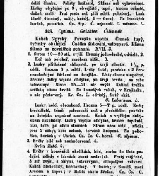 Rostlinnictv&iacute;, čili N&aacute;vod k snadn&eacute;mu určen&iacute; a pojmenov&aacute;n&iacute; rostlin v Čech&aacute;ch, Moravě a jin&yacute;ch zem&iacute;ch Rakousk&eacute;ho mocn&aacute;řstv&iacute; dom&aacute;c&iacute;ch / sepsal Daniel Sloboda / Sloboda, Daniel (1852) document 648980
