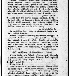 Rostlinnictv&iacute;, čili N&aacute;vod k snadn&eacute;mu určen&iacute; a pojmenov&aacute;n&iacute; rostlin v Čech&aacute;ch, Moravě a jin&yacute;ch zem&iacute;ch Rakousk&eacute;ho mocn&aacute;řstv&iacute; dom&aacute;c&iacute;ch / sepsal Daniel Sloboda / Sloboda, Daniel (1852) document 648989