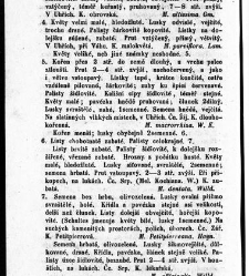 Rostlinnictv&iacute;, čili N&aacute;vod k snadn&eacute;mu určen&iacute; a pojmenov&aacute;n&iacute; rostlin v Čech&aacute;ch, Moravě a jin&yacute;ch zem&iacute;ch Rakousk&eacute;ho mocn&aacute;řstv&iacute; dom&aacute;c&iacute;ch / sepsal Daniel Sloboda / Sloboda, Daniel (1852) document 648992