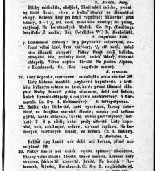 Rostlinnictv&iacute;, čili N&aacute;vod k snadn&eacute;mu určen&iacute; a pojmenov&aacute;n&iacute; rostlin v Čech&aacute;ch, Moravě a jin&yacute;ch zem&iacute;ch Rakousk&eacute;ho mocn&aacute;řstv&iacute; dom&aacute;c&iacute;ch / sepsal Daniel Sloboda / Sloboda, Daniel (1852) document 649031
