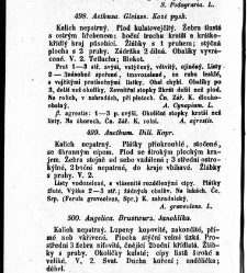 Rostlinnictv&iacute;, čili N&aacute;vod k snadn&eacute;mu určen&iacute; a pojmenov&aacute;n&iacute; rostlin v Čech&aacute;ch, Moravě a jin&yacute;ch zem&iacute;ch Rakousk&eacute;ho mocn&aacute;řstv&iacute; dom&aacute;c&iacute;ch / sepsal Daniel Sloboda / Sloboda, Daniel (1852) document 649034