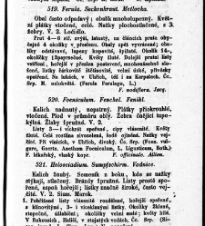 Rostlinnictv&iacute;, čili N&aacute;vod k snadn&eacute;mu určen&iacute; a pojmenov&aacute;n&iacute; rostlin v Čech&aacute;ch, Moravě a jin&yacute;ch zem&iacute;ch Rakousk&eacute;ho mocn&aacute;řstv&iacute; dom&aacute;c&iacute;ch / sepsal Daniel Sloboda / Sloboda, Daniel (1852) document 649045