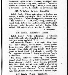 Rostlinnictv&iacute;, čili N&aacute;vod k snadn&eacute;mu určen&iacute; a pojmenov&aacute;n&iacute; rostlin v Čech&aacute;ch, Moravě a jin&yacute;ch zem&iacute;ch Rakousk&eacute;ho mocn&aacute;řstv&iacute; dom&aacute;c&iacute;ch / sepsal Daniel Sloboda / Sloboda, Daniel (1852) document 649059