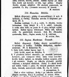 Rostlinnictv&iacute;, čili N&aacute;vod k snadn&eacute;mu určen&iacute; a pojmenov&aacute;n&iacute; rostlin v Čech&aacute;ch, Moravě a jin&yacute;ch zem&iacute;ch Rakousk&eacute;ho mocn&aacute;řstv&iacute; dom&aacute;c&iacute;ch / sepsal Daniel Sloboda / Sloboda, Daniel (1852) document 649066