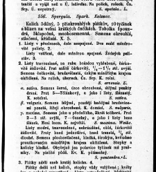 Rostlinnictv&iacute;, čili N&aacute;vod k snadn&eacute;mu určen&iacute; a pojmenov&aacute;n&iacute; rostlin v Čech&aacute;ch, Moravě a jin&yacute;ch zem&iacute;ch Rakousk&eacute;ho mocn&aacute;řstv&iacute; dom&aacute;c&iacute;ch / sepsal Daniel Sloboda / Sloboda, Daniel (1852) document 649067