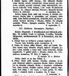 Rostlinnictv&iacute;, čili N&aacute;vod k snadn&eacute;mu určen&iacute; a pojmenov&aacute;n&iacute; rostlin v Čech&aacute;ch, Moravě a jin&yacute;ch zem&iacute;ch Rakousk&eacute;ho mocn&aacute;řstv&iacute; dom&aacute;c&iacute;ch / sepsal Daniel Sloboda / Sloboda, Daniel (1852) document 649068