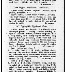 Rostlinnictv&iacute;, čili N&aacute;vod k snadn&eacute;mu určen&iacute; a pojmenov&aacute;n&iacute; rostlin v Čech&aacute;ch, Moravě a jin&yacute;ch zem&iacute;ch Rakousk&eacute;ho mocn&aacute;řstv&iacute; dom&aacute;c&iacute;ch / sepsal Daniel Sloboda / Sloboda, Daniel (1852) document 649075