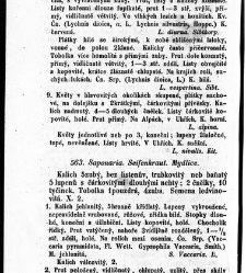 Rostlinnictv&iacute;, čili N&aacute;vod k snadn&eacute;mu určen&iacute; a pojmenov&aacute;n&iacute; rostlin v Čech&aacute;ch, Moravě a jin&yacute;ch zem&iacute;ch Rakousk&eacute;ho mocn&aacute;řstv&iacute; dom&aacute;c&iacute;ch / sepsal Daniel Sloboda / Sloboda, Daniel (1852) document 649078