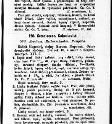 Rostlinnictv&iacute;, čili N&aacute;vod k snadn&eacute;mu určen&iacute; a pojmenov&aacute;n&iacute; rostlin v Čech&aacute;ch, Moravě a jin&yacute;ch zem&iacute;ch Rakousk&eacute;ho mocn&aacute;řstv&iacute; dom&aacute;c&iacute;ch / sepsal Daniel Sloboda / Sloboda, Daniel (1852) document 649087