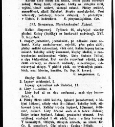 Rostlinnictv&iacute;, čili N&aacute;vod k snadn&eacute;mu určen&iacute; a pojmenov&aacute;n&iacute; rostlin v Čech&aacute;ch, Moravě a jin&yacute;ch zem&iacute;ch Rakousk&eacute;ho mocn&aacute;řstv&iacute; dom&aacute;c&iacute;ch / sepsal Daniel Sloboda / Sloboda, Daniel (1852) document 649088