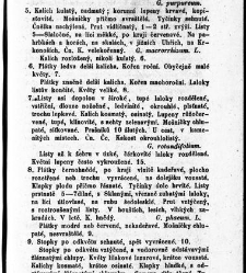 Rostlinnictv&iacute;, čili N&aacute;vod k snadn&eacute;mu určen&iacute; a pojmenov&aacute;n&iacute; rostlin v Čech&aacute;ch, Moravě a jin&yacute;ch zem&iacute;ch Rakousk&eacute;ho mocn&aacute;řstv&iacute; dom&aacute;c&iacute;ch / sepsal Daniel Sloboda / Sloboda, Daniel (1852) document 649089