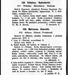 Rostlinnictv&iacute;, čili N&aacute;vod k snadn&eacute;mu určen&iacute; a pojmenov&aacute;n&iacute; rostlin v Čech&aacute;ch, Moravě a jin&yacute;ch zem&iacute;ch Rakousk&eacute;ho mocn&aacute;řstv&iacute; dom&aacute;c&iacute;ch / sepsal Daniel Sloboda / Sloboda, Daniel (1852) document 649094