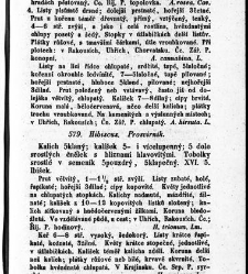 Rostlinnictv&iacute;, čili N&aacute;vod k snadn&eacute;mu určen&iacute; a pojmenov&aacute;n&iacute; rostlin v Čech&aacute;ch, Moravě a jin&yacute;ch zem&iacute;ch Rakousk&eacute;ho mocn&aacute;řstv&iacute; dom&aacute;c&iacute;ch / sepsal Daniel Sloboda / Sloboda, Daniel (1852) document 649095
