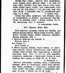 Rostlinnictv&iacute;, čili N&aacute;vod k snadn&eacute;mu určen&iacute; a pojmenov&aacute;n&iacute; rostlin v Čech&aacute;ch, Moravě a jin&yacute;ch zem&iacute;ch Rakousk&eacute;ho mocn&aacute;řstv&iacute; dom&aacute;c&iacute;ch / sepsal Daniel Sloboda / Sloboda, Daniel (1852) document 649114