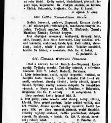 Rostlinnictv&iacute;, čili N&aacute;vod k snadn&eacute;mu určen&iacute; a pojmenov&aacute;n&iacute; rostlin v Čech&aacute;ch, Moravě a jin&yacute;ch zem&iacute;ch Rakousk&eacute;ho mocn&aacute;řstv&iacute; dom&aacute;c&iacute;ch / sepsal Daniel Sloboda / Sloboda, Daniel (1852) document 649124