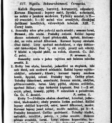 Rostlinnictv&iacute;, čili N&aacute;vod k snadn&eacute;mu určen&iacute; a pojmenov&aacute;n&iacute; rostlin v Čech&aacute;ch, Moravě a jin&yacute;ch zem&iacute;ch Rakousk&eacute;ho mocn&aacute;řstv&iacute; dom&aacute;c&iacute;ch / sepsal Daniel Sloboda / Sloboda, Daniel (1852) document 649129