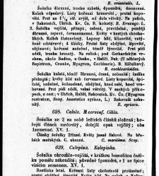 Rostlinnictv&iacute;, čili N&aacute;vod k snadn&eacute;mu určen&iacute; a pojmenov&aacute;n&iacute; rostlin v Čech&aacute;ch, Moravě a jin&yacute;ch zem&iacute;ch Rakousk&eacute;ho mocn&aacute;řstv&iacute; dom&aacute;c&iacute;ch / sepsal Daniel Sloboda / Sloboda, Daniel (1852) document 649146