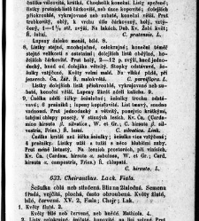 Rostlinnictv&iacute;, čili N&aacute;vod k snadn&eacute;mu určen&iacute; a pojmenov&aacute;n&iacute; rostlin v Čech&aacute;ch, Moravě a jin&yacute;ch zem&iacute;ch Rakousk&eacute;ho mocn&aacute;řstv&iacute; dom&aacute;c&iacute;ch / sepsal Daniel Sloboda / Sloboda, Daniel (1852) document 649149