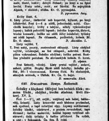 Rostlinnictv&iacute;, čili N&aacute;vod k snadn&eacute;mu určen&iacute; a pojmenov&aacute;n&iacute; rostlin v Čech&aacute;ch, Moravě a jin&yacute;ch zem&iacute;ch Rakousk&eacute;ho mocn&aacute;řstv&iacute; dom&aacute;c&iacute;ch / sepsal Daniel Sloboda / Sloboda, Daniel (1852) document 649155