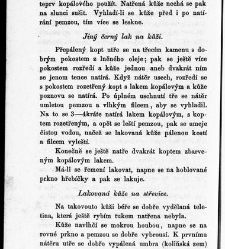 Praktické zápisky pro řemeslníka a hospodáře, vůbec živnostníka. Sbírka druhá / [od] Ferdinanda Kuberta / Kubert, Ferdinand A. (1864) document 650026