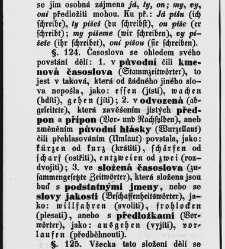 Německá mluvnice s ohledem na jazyk český (1844) document 654329