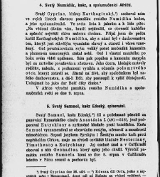 Církevní rok (1880) document 656665