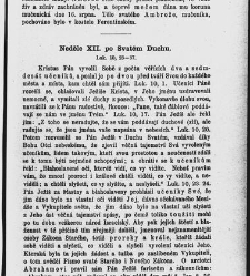 Církevní rok (1880) document 656718