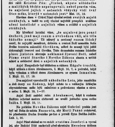 Církevní rok (1880) document 656846