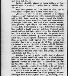 Církevní rok (1880) document 656847