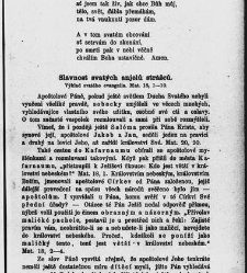 Církevní rok (1880) document 656852