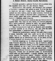 Církevní rok (1880) document 656967