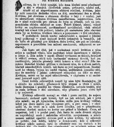 Žensk&eacute; listy(1889.01) document 662796