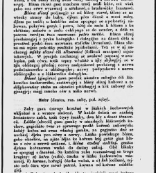 Z&aacute;kladow&eacute; pitwy (Anatomie), čili, Soustawnj rozbor a popis těla lidsk&eacute;ho a gednotliw&yacute;ch geho č&aacute;stek(1840.01) document 667144