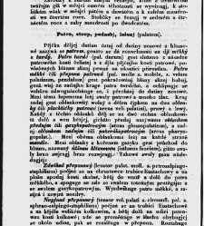 Z&aacute;kladow&eacute; pitwy (Anatomie), čili, Soustawnj rozbor a popis těla lidsk&eacute;ho a gednotliw&yacute;ch geho č&aacute;stek(1840.01) document 667147