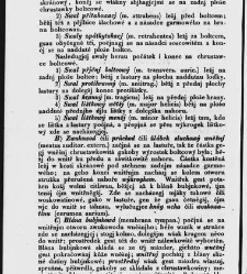 Z&aacute;kladow&eacute; pitwy (Anatomie), čili, Soustawnj rozbor a popis těla lidsk&eacute;ho a gednotliw&yacute;ch geho č&aacute;stek(1840.01) document 667155