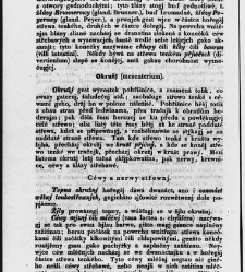 Z&aacute;kladow&eacute; pitwy (Anatomie), čili, Soustawnj rozbor a popis těla lidsk&eacute;ho a gednotliw&yacute;ch geho č&aacute;stek(1840.01) document 667161