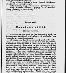 Z&aacute;kladow&eacute; pitwy (Anatomie), čili, Soustawnj rozbor a popis těla lidsk&eacute;ho a gednotliw&yacute;ch geho č&aacute;stek(1840.01) document 667170