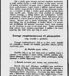 Z&aacute;kladow&eacute; pitwy (Anatomie), čili, Soustawnj rozbor a popis těla lidsk&eacute;ho a gednotliw&yacute;ch geho č&aacute;stek(1840.01) document 667188