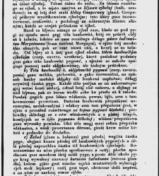Z&aacute;kladow&eacute; pitwy (Anatomie), čili, Soustawnj rozbor a popis těla lidsk&eacute;ho a gednotliw&yacute;ch geho č&aacute;stek(1840.01) document 667191