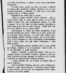 Mnichova žena, aneb, Stra&scaron;idlo v c&iacute;sařsk&eacute;m hradě(1884) document 666293