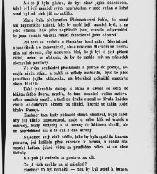 Mnichova žena, aneb, Stra&scaron;idlo v c&iacute;sařsk&eacute;m hradě(1884) document 666332