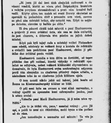 Mnichova žena, aneb, Stra&scaron;idlo v c&iacute;sařsk&eacute;m hradě(1884) document 666433