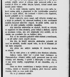 Mnichova žena, aneb, Stra&scaron;idlo v c&iacute;sařsk&eacute;m hradě(1884) document 666587