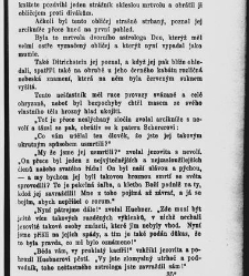 Mnichova žena, aneb, Stra&scaron;idlo v c&iacute;sařsk&eacute;m hradě(1884) document 666625